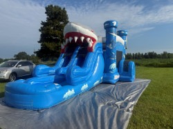 Shark 1773726083 Shark